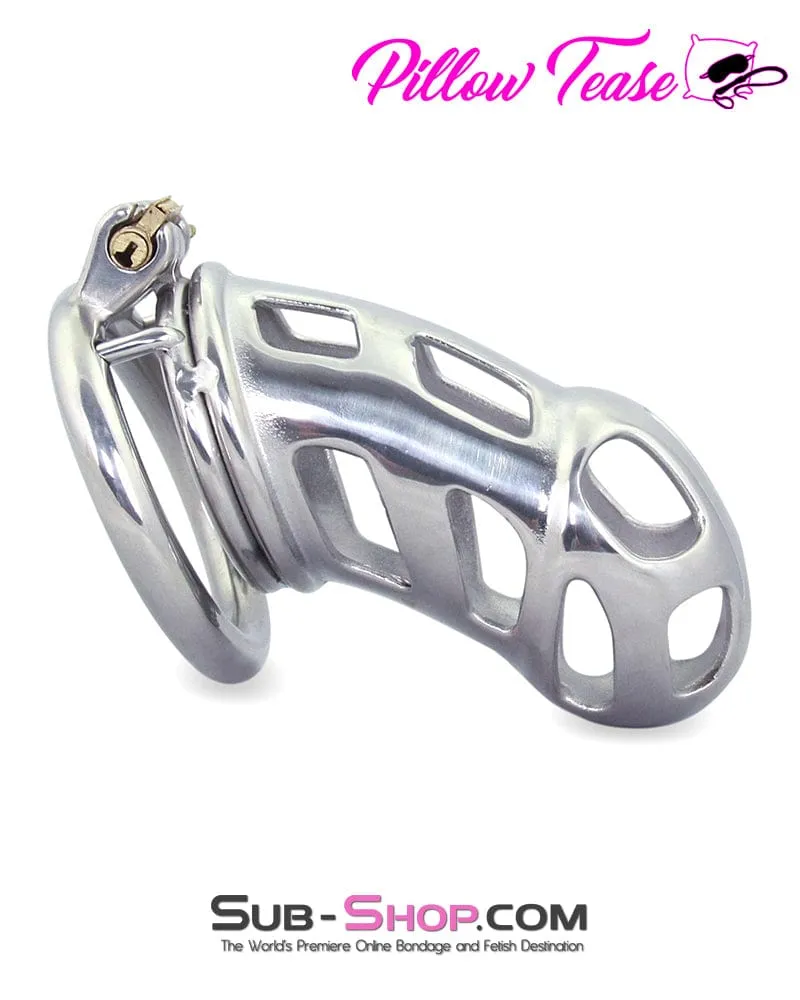 0718AR      Rock Hard Locking Steel Male Teasing Chastity Cage - MEGA Deal