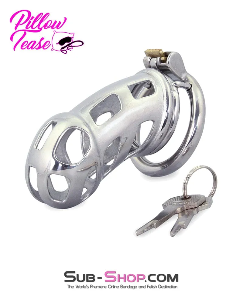 0718AR      Rock Hard Locking Steel Male Teasing Chastity Cage - MEGA Deal