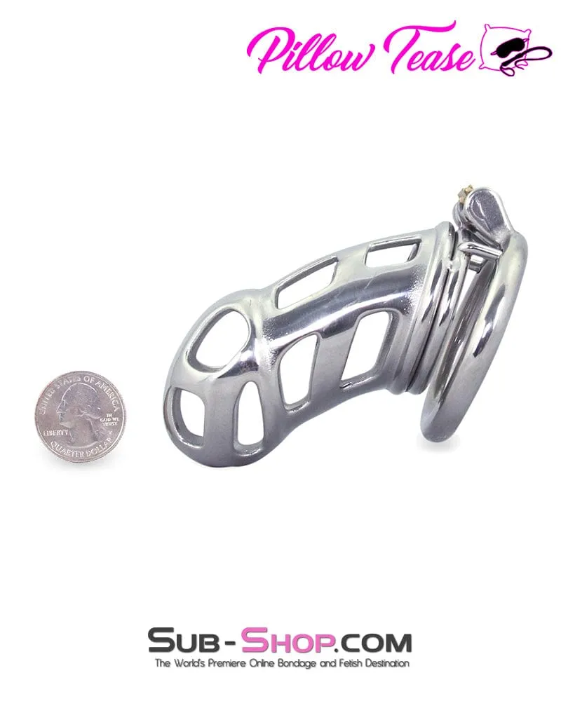 0718AR      Rock Hard Locking Steel Male Teasing Chastity Cage - MEGA Deal