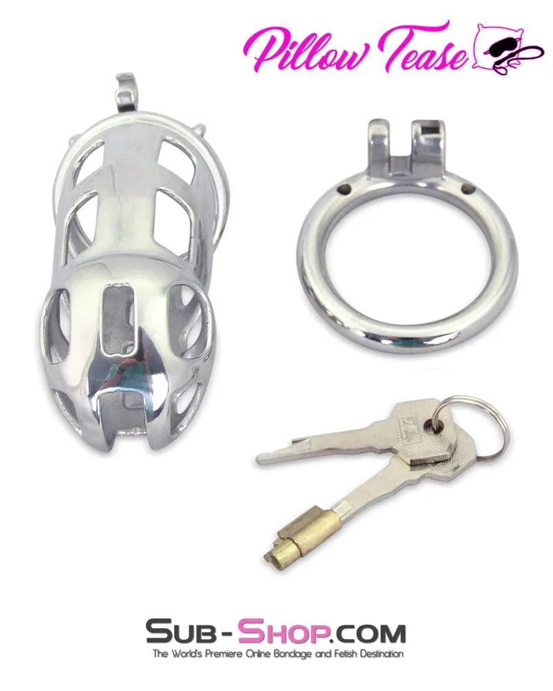 0718AR      Rock Hard Locking Steel Male Teasing Chastity Cage - MEGA Deal