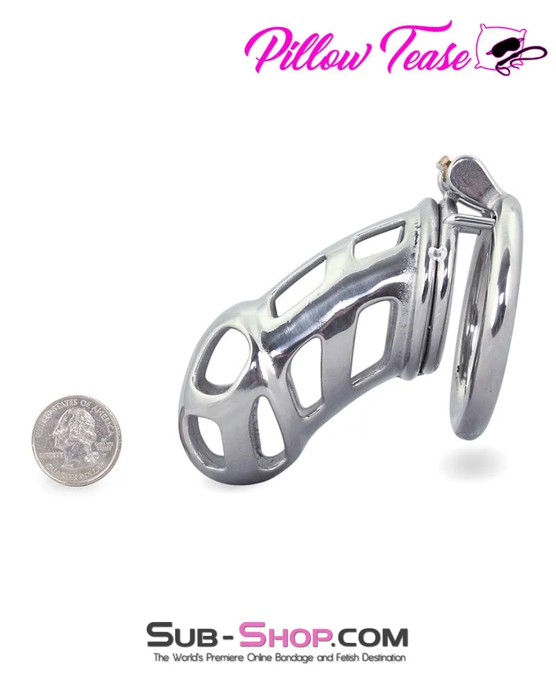 0795AR      Hard Up Locking Steel Male Chastity Teasing Cage