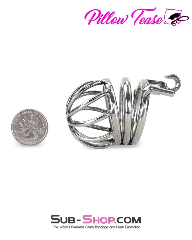 0974AR      Steel Ball Trap Wire Teasing Cock Cage Chastity - MEGA Deal
