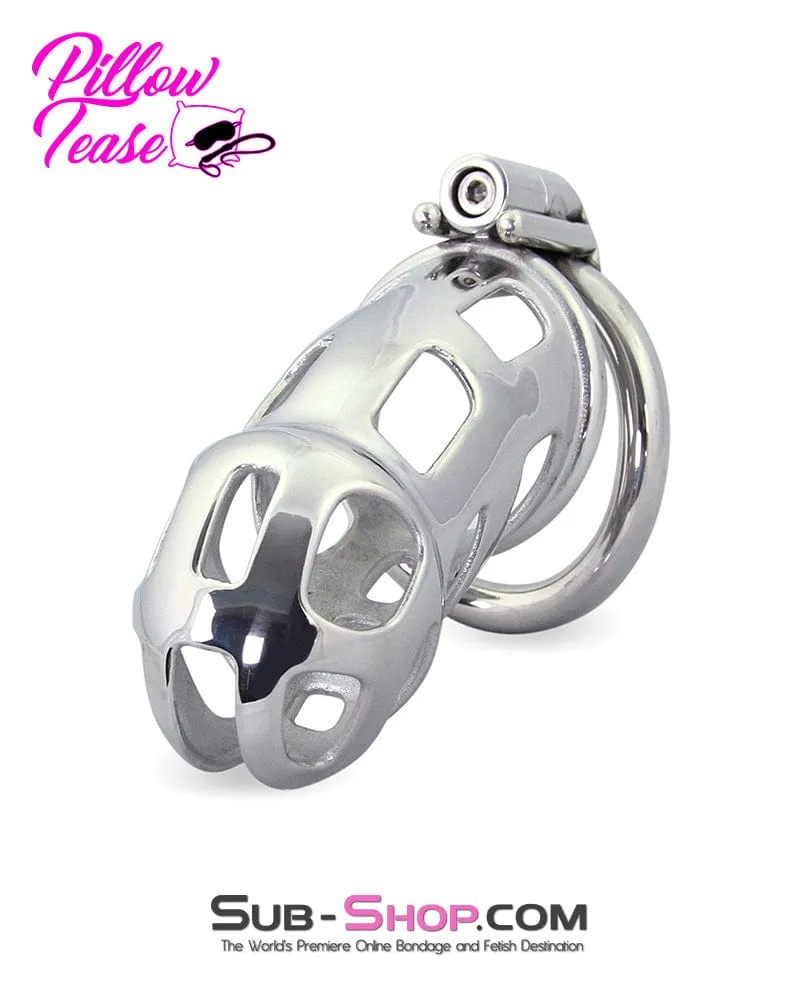 1691AR-SIS      Long Teasing Night Steel Male Sissy Chastity Cage Device