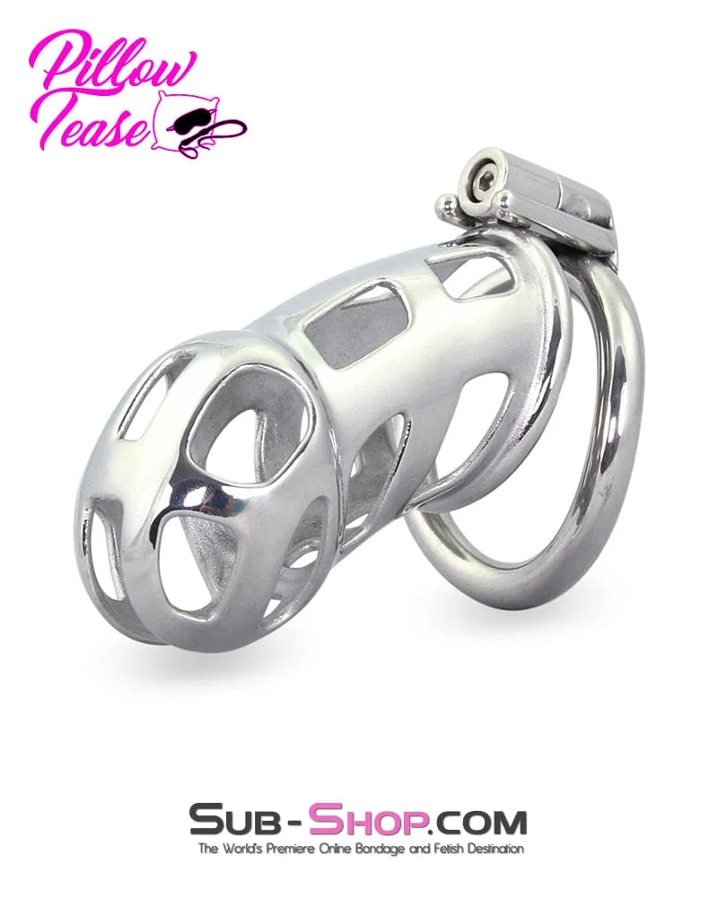 1691AR-SIS      Long Teasing Night Steel Male Sissy Chastity Cage Device