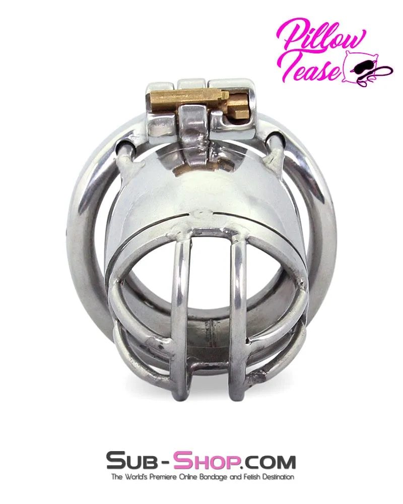 1693AR      Storm Drain Locking Steel Male Chastity Cage