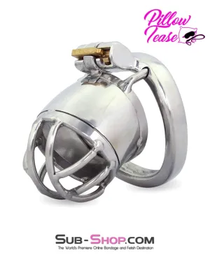 1693AR      Storm Drain Locking Steel Male Chastity Cage