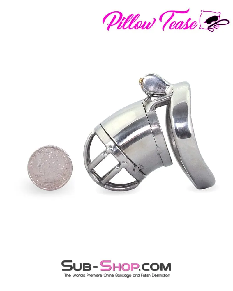 1693AR      Storm Drain Locking Steel Male Chastity Cage