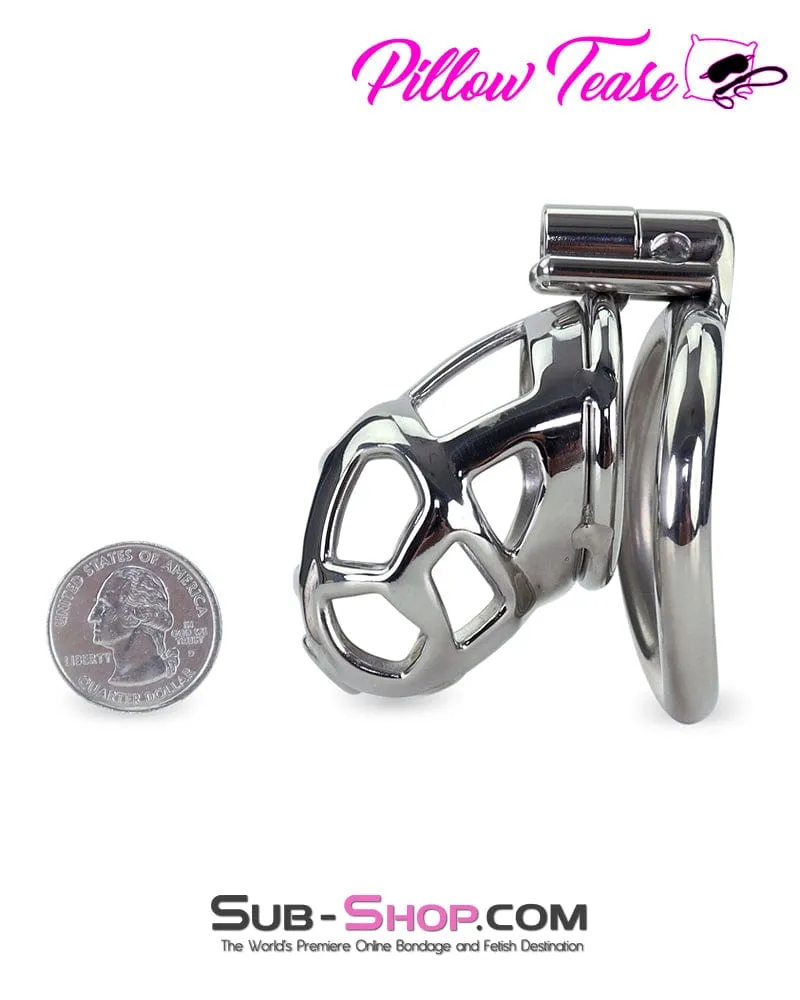 7338AR-SIS      Steel Teasing Sissy Cock Cage Chastity with Screw