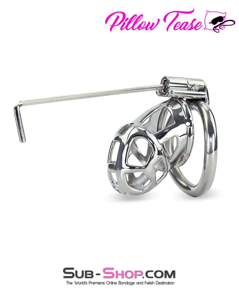 7338AR-SIS      Steel Teasing Sissy Cock Cage Chastity with Screw