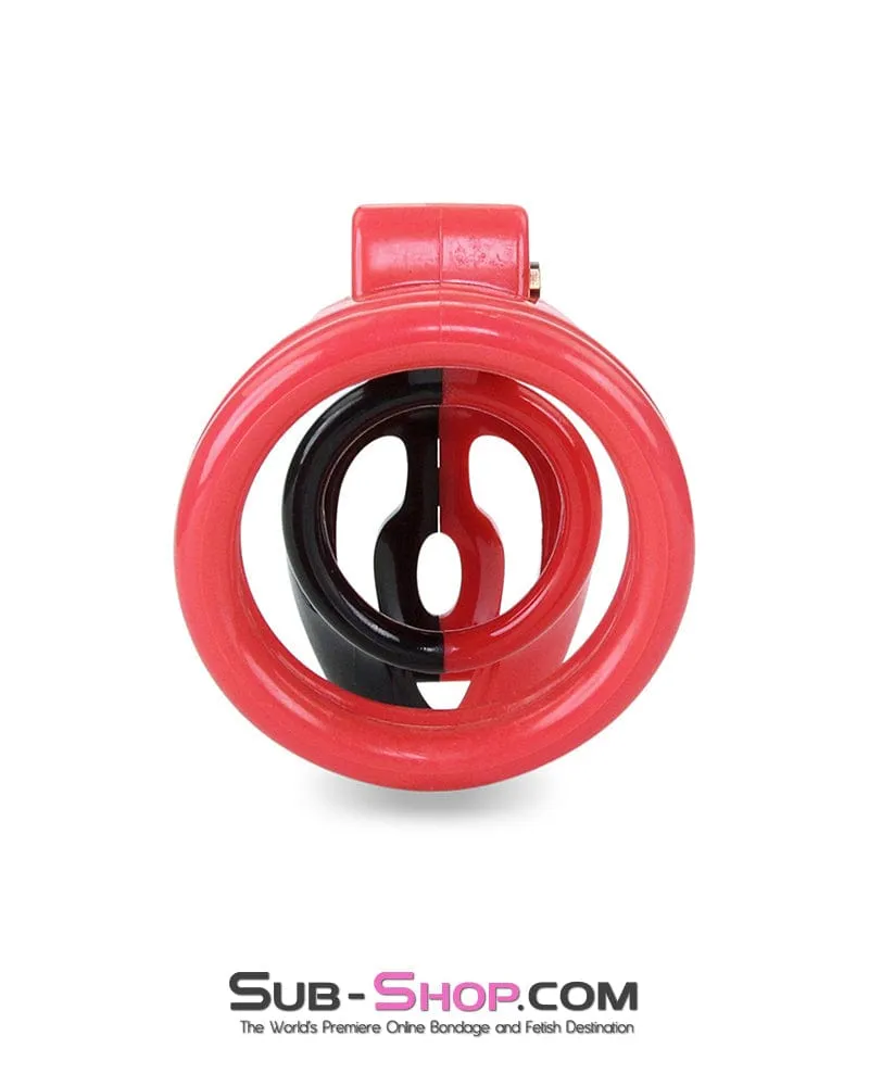 7345M     The Master Lock Locking Chastity Cage - MEGA Deal