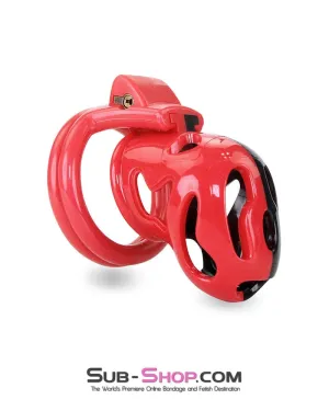7345M     The Master Lock Locking Chastity Cage - MEGA Deal