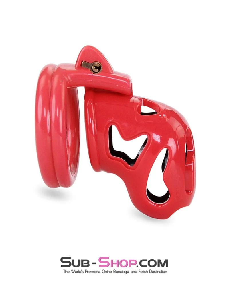 7345M     The Master Lock Locking Chastity Cage - MEGA Deal