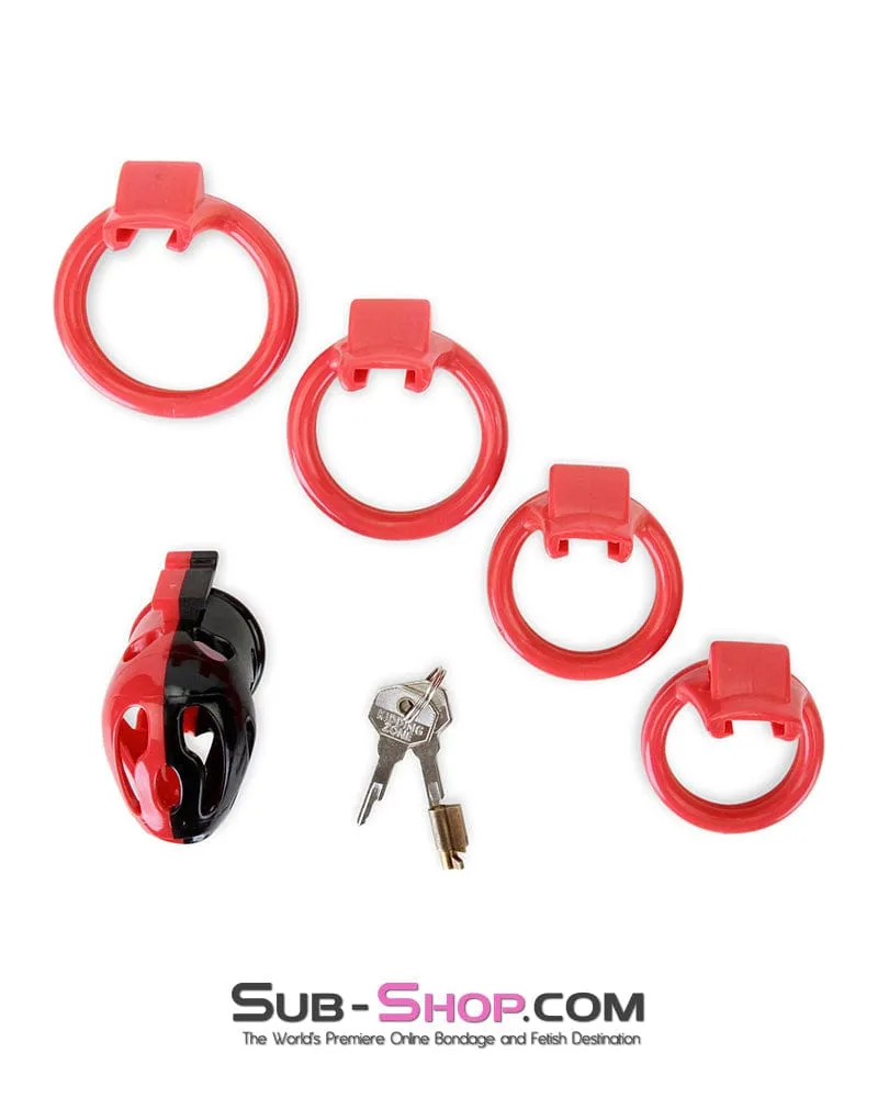 7345M     The Master Lock Locking Chastity Cage - MEGA Deal