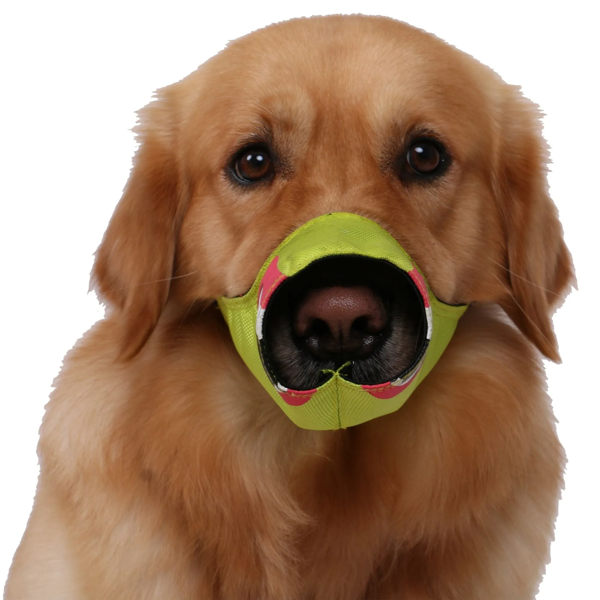 Adjustable Dog Muzzle for Barking and Chewing Fashion
