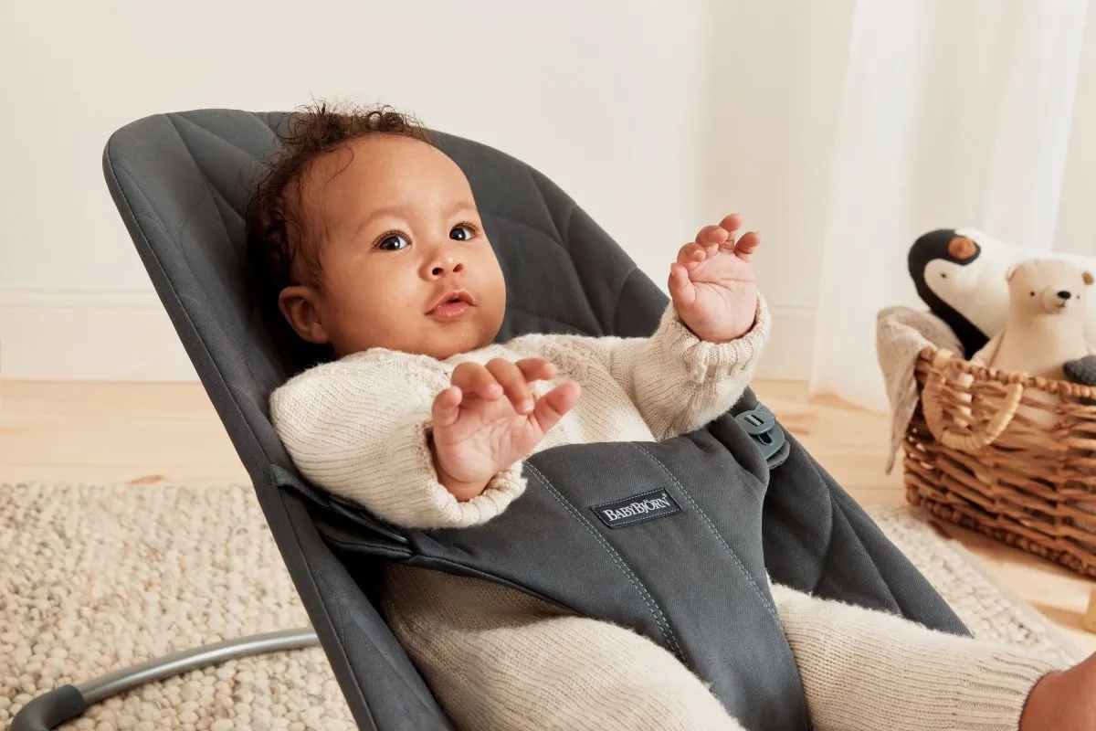 BabyBjorn Bouncer Bliss - Cotton Petal Quilt