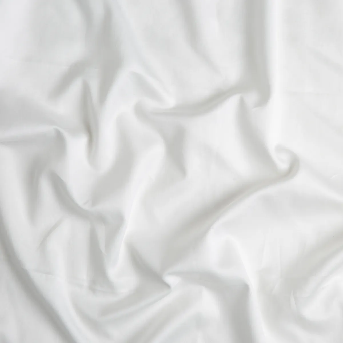 Bria Flat Sheet