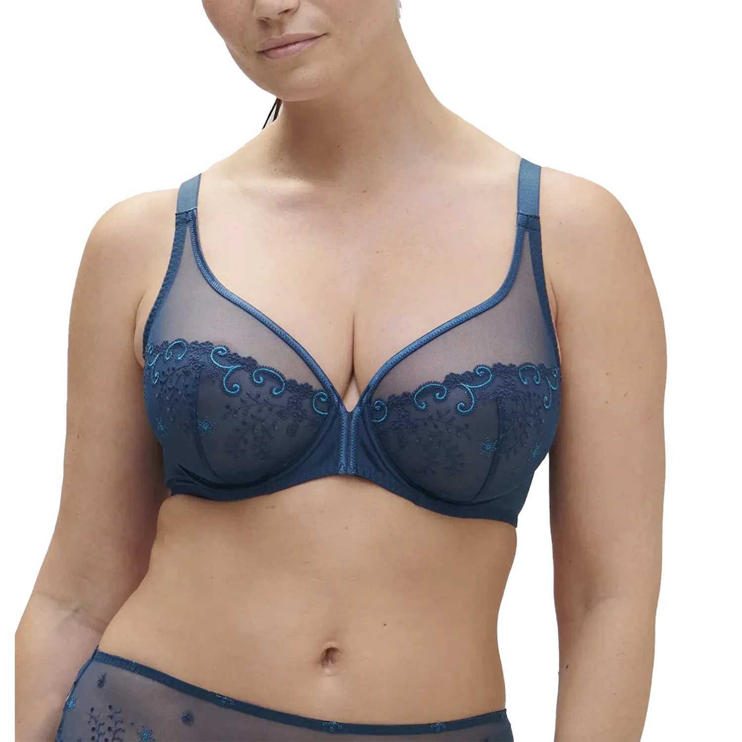 Delice Sheer Plunge Bra