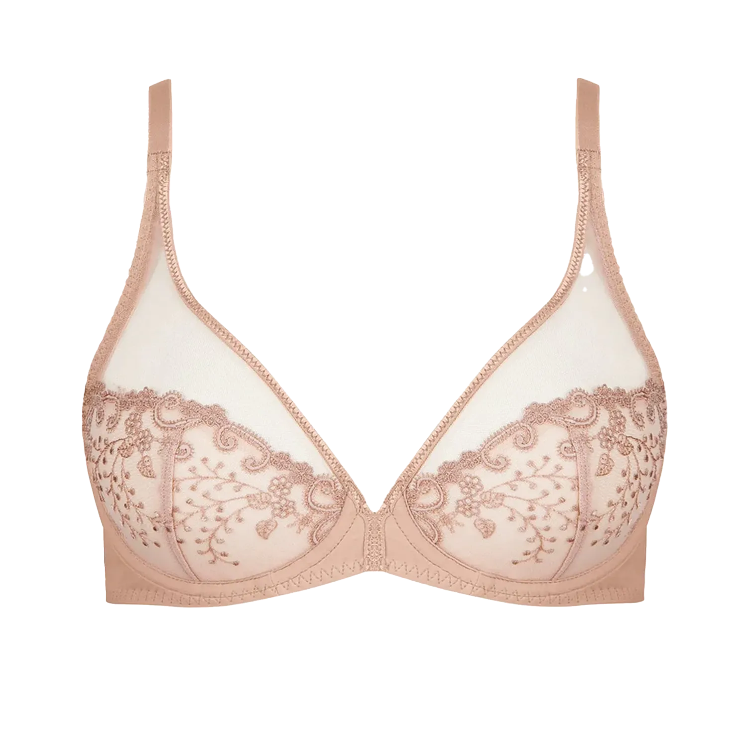 Delice Sheer Plunge Bra