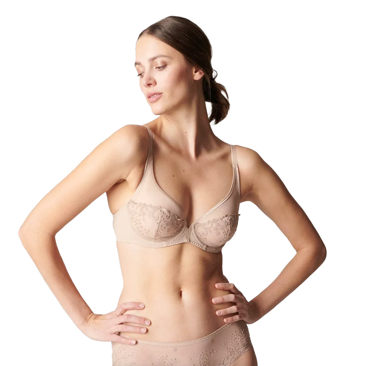 Delice Sheer Plunge Bra