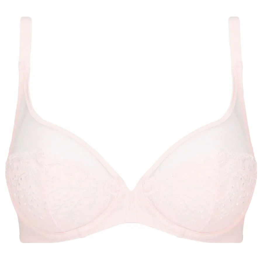 Delice Sheer Plunge Bra