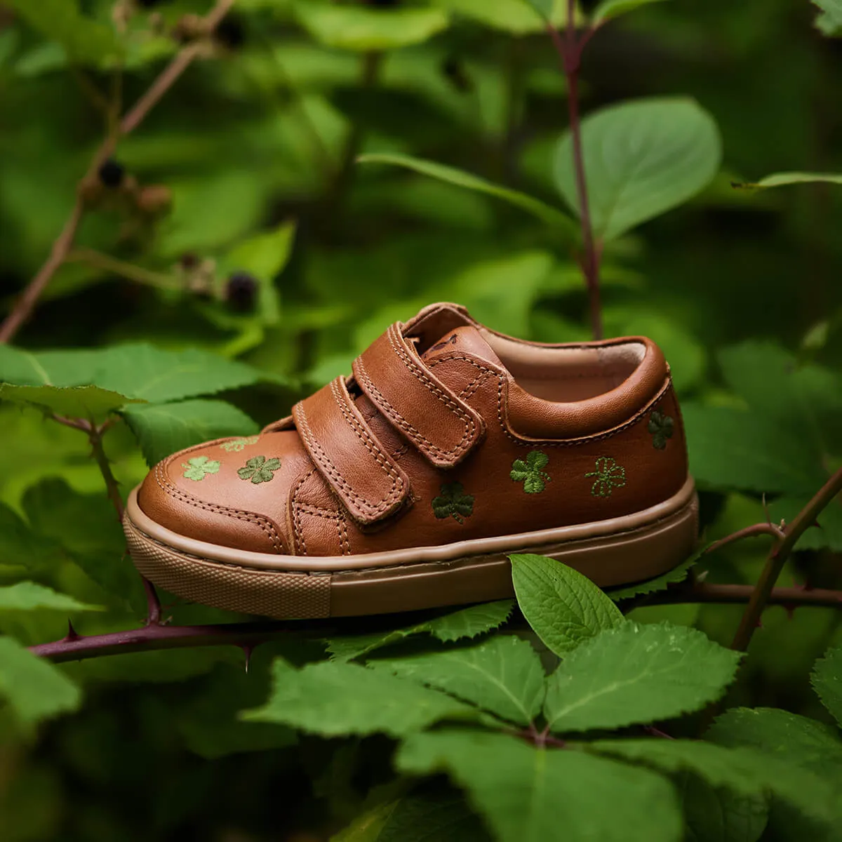Low Sneaker Clover Uniqua Collection aus Chromfreien Premium Leder