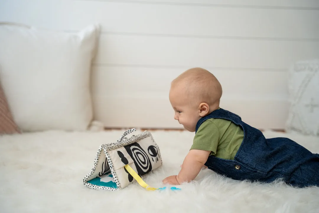 Manhattan Toys Wimmer 3-in-1 Play Mat
