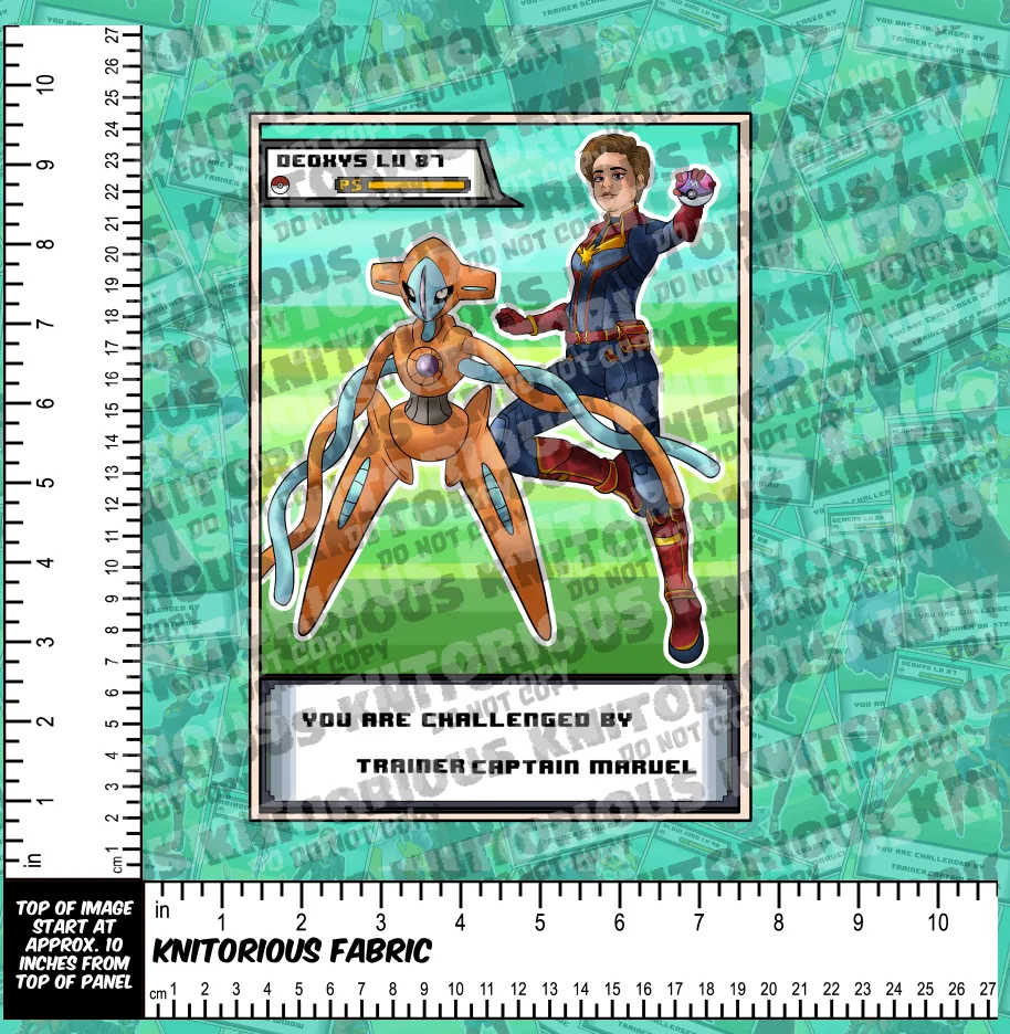 *Pre-Order* Hero Trainer Panels