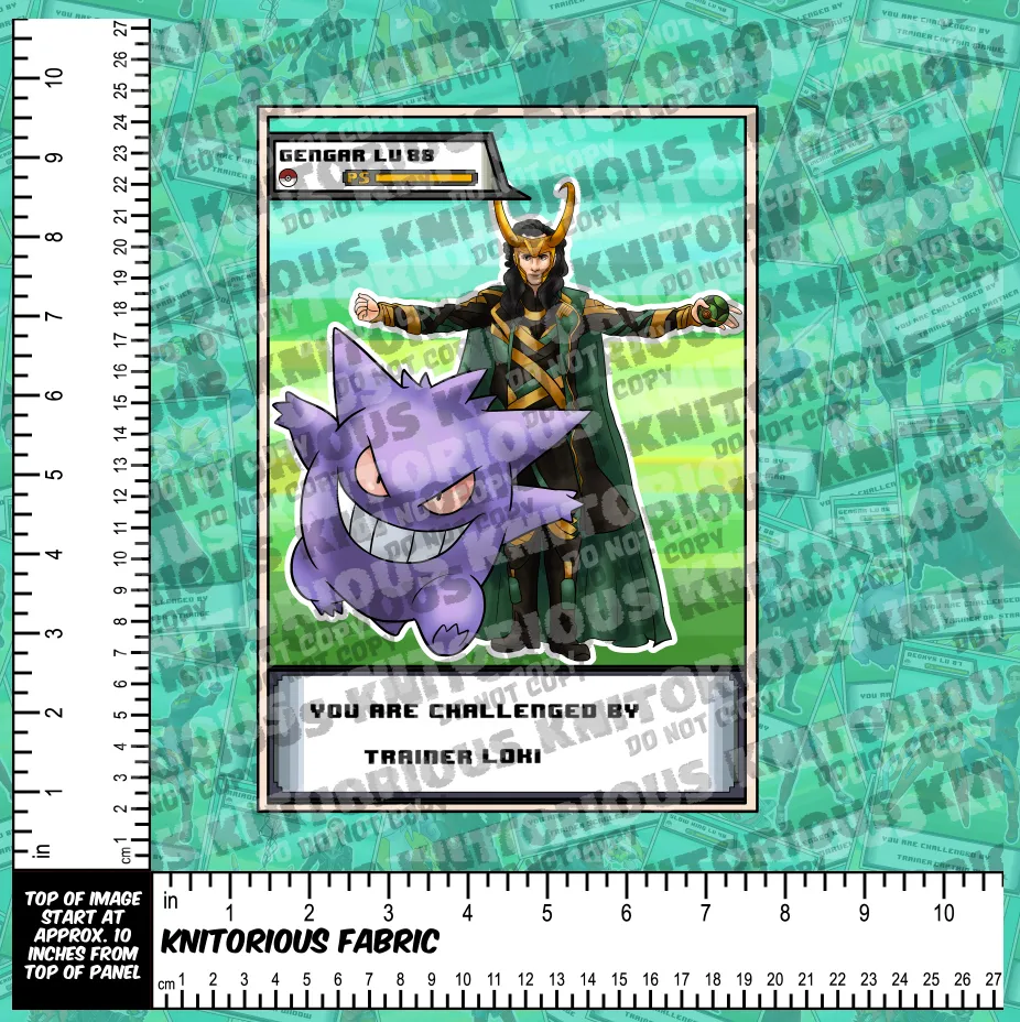 *Pre-Order* Hero Trainer Panels
