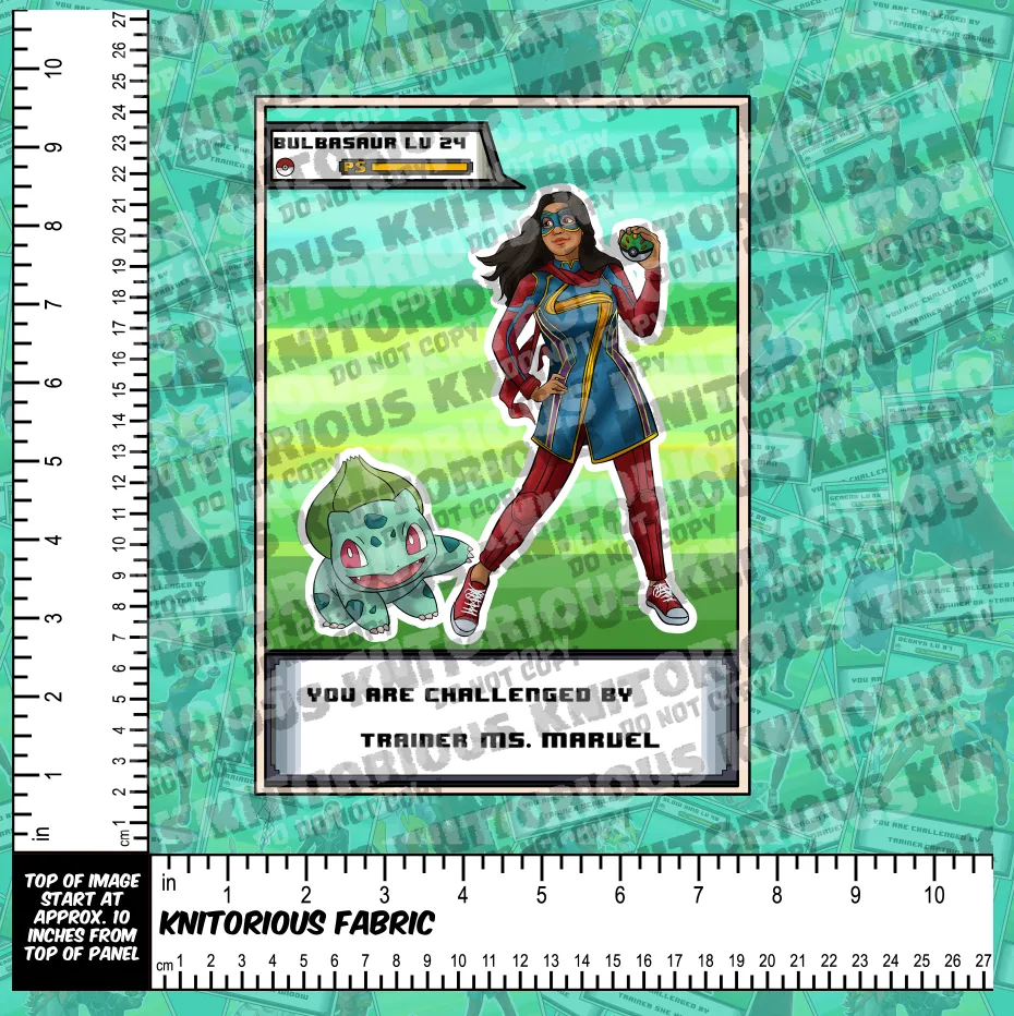 *Pre-Order* Hero Trainer Panels