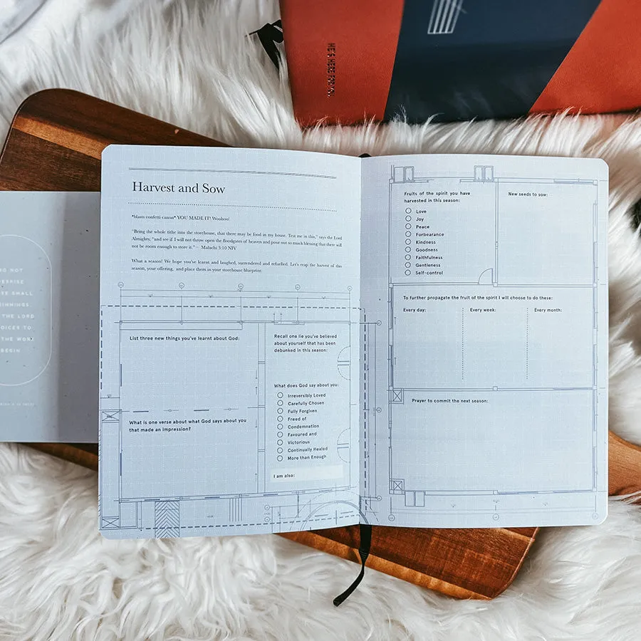 Small Beginnings | Journal