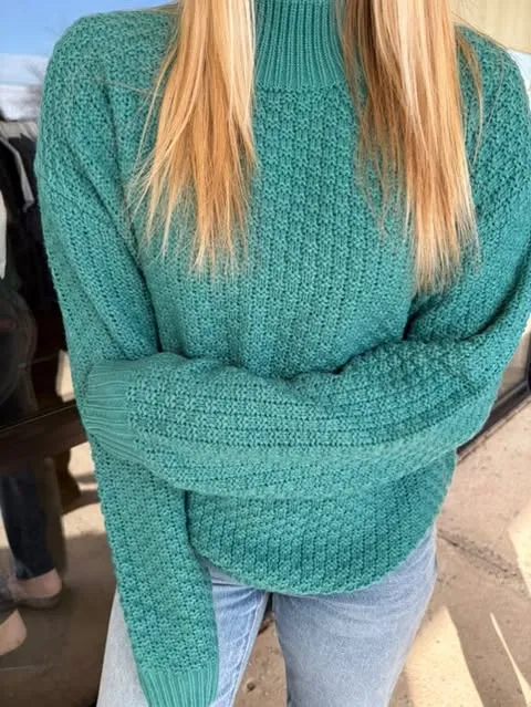 Solid Color Knitted Turtleneck Sweater