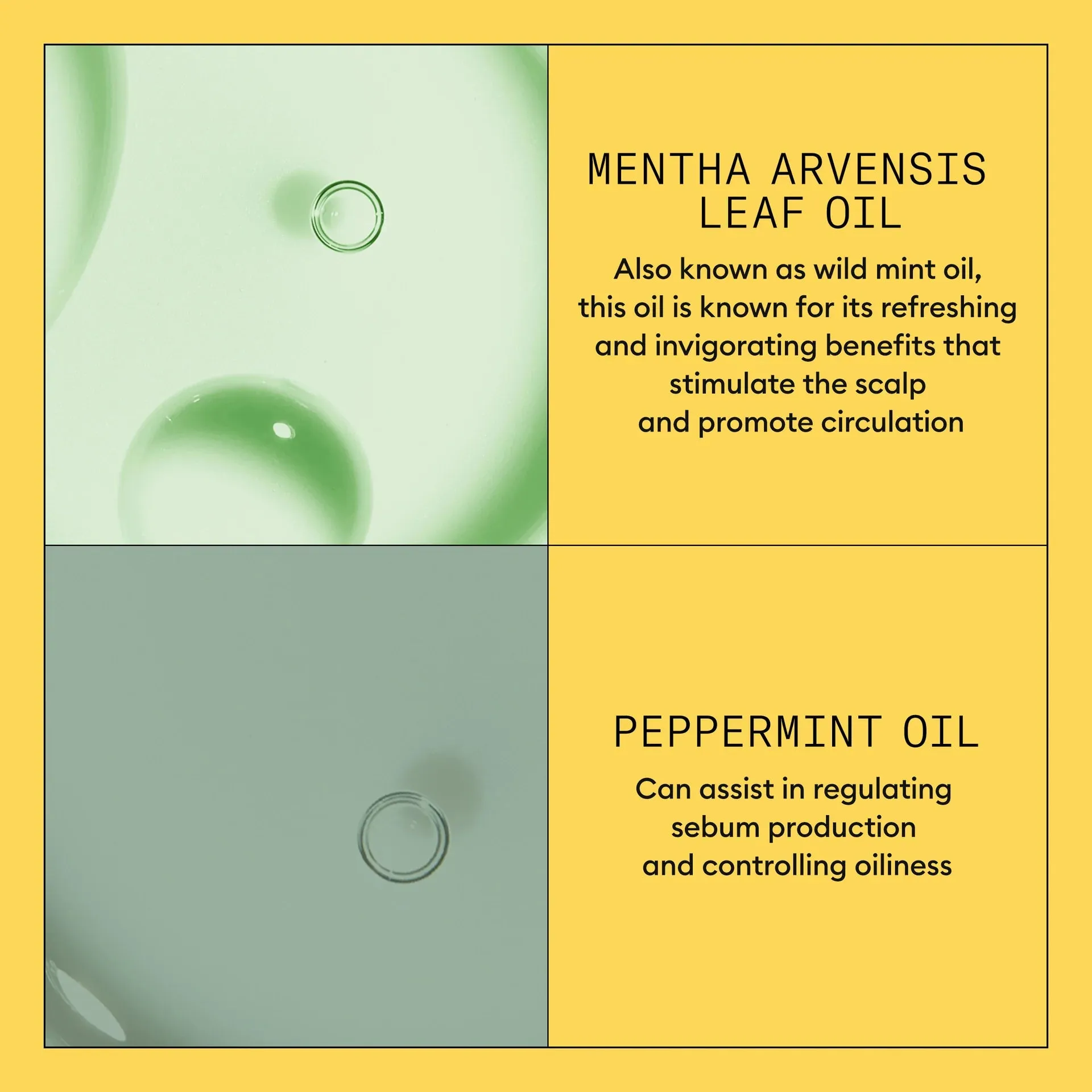 System 1 Scalp   Hair Conditioner - Hair Thickening Conditioner